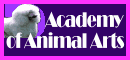 Academy of Animal Arts Dog Pet  Grooming School Largo Florida Cat education training class classes