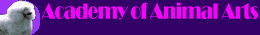 Academy of Animal Arts Dog Pet Grooming  School Largo Florida Cat education training class classes